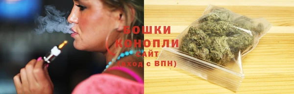 соль ск Арсеньев