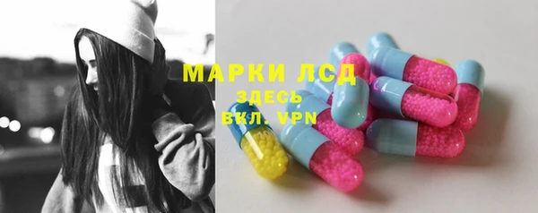 соль ск Арсеньев