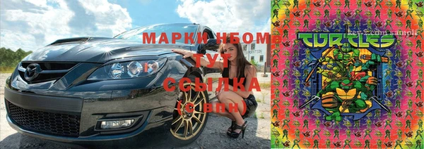 соль ск Арсеньев
