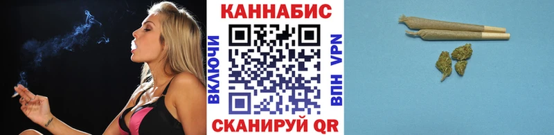 OMG сайт  Жиздра  МАРИХУАНА ГИДРОПОН 